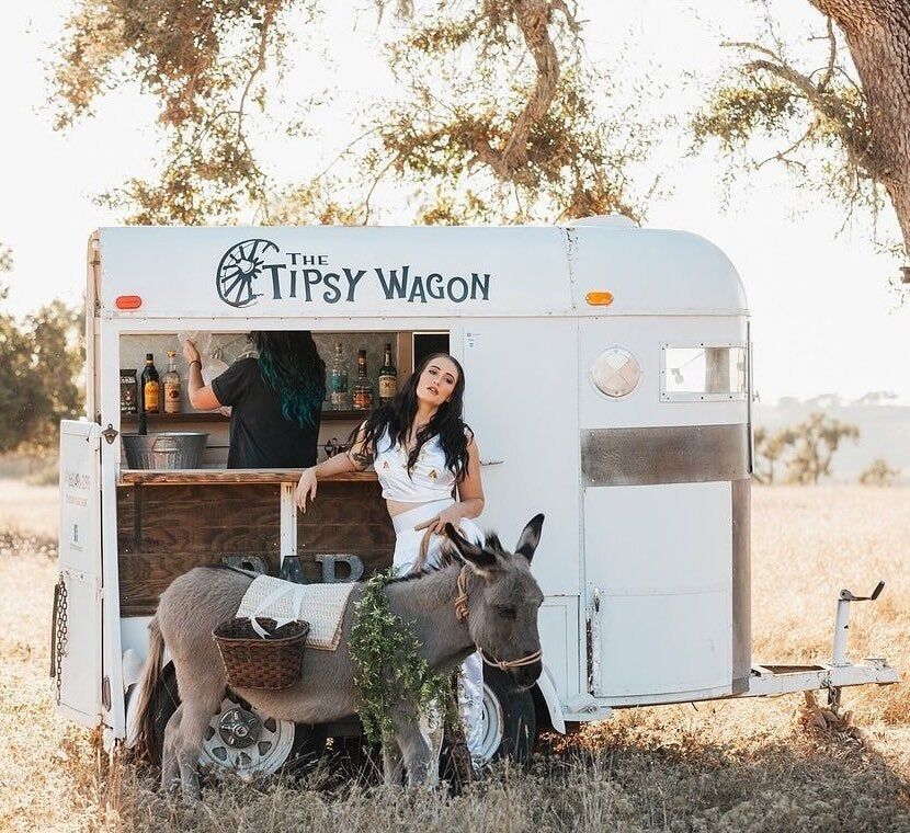 Mobile Bar Service