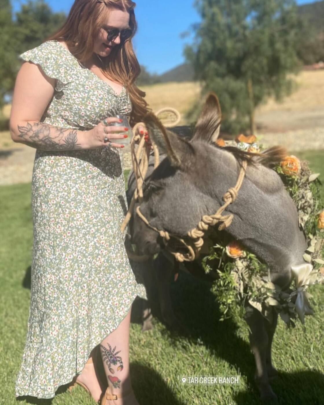 Petting Zoo